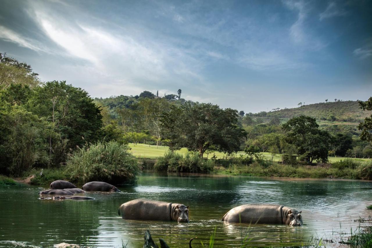 Sabi River Sun Resort Hazyview Kültér fotó